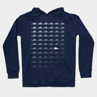 School of Roman fishes Hoodie